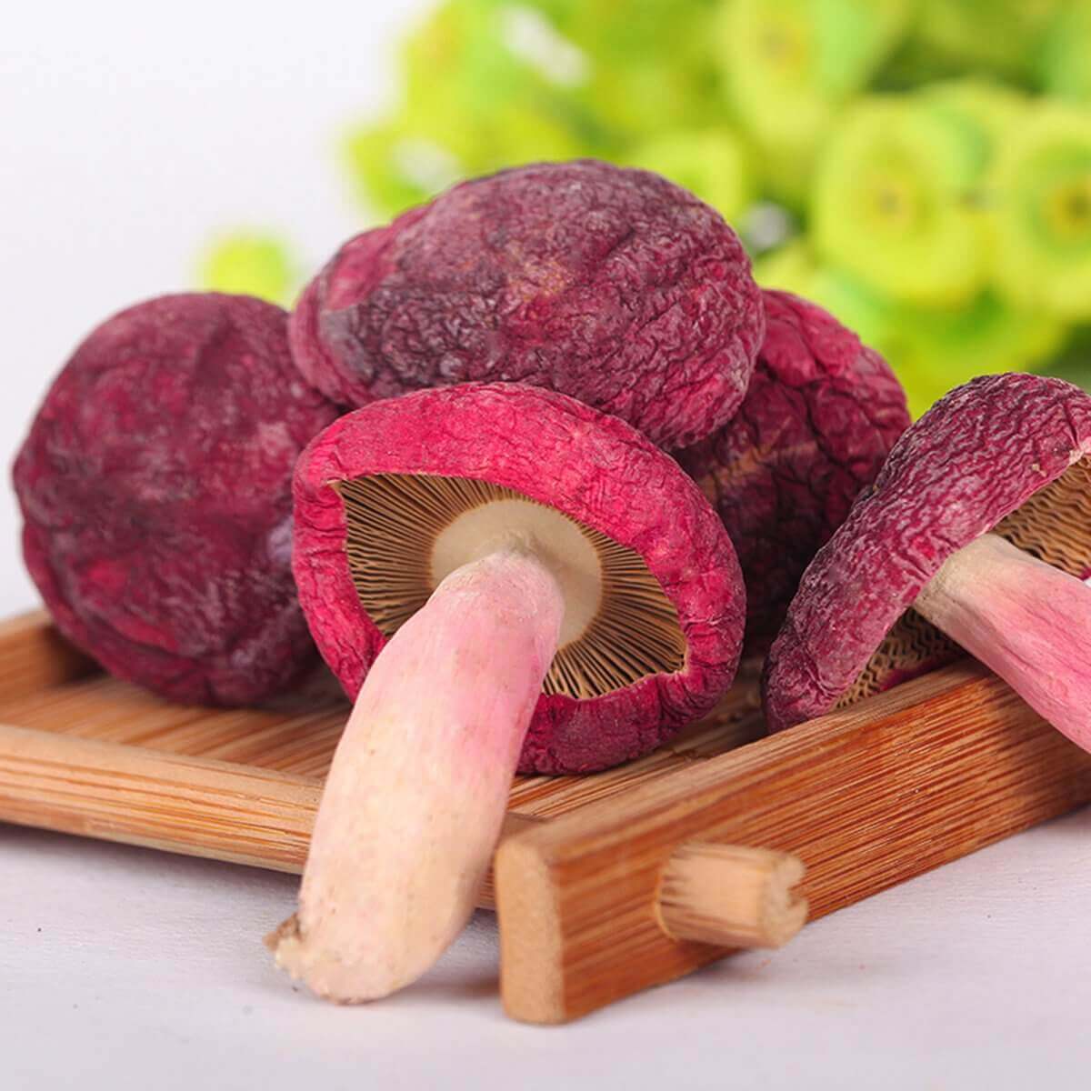 Russula Drying Process